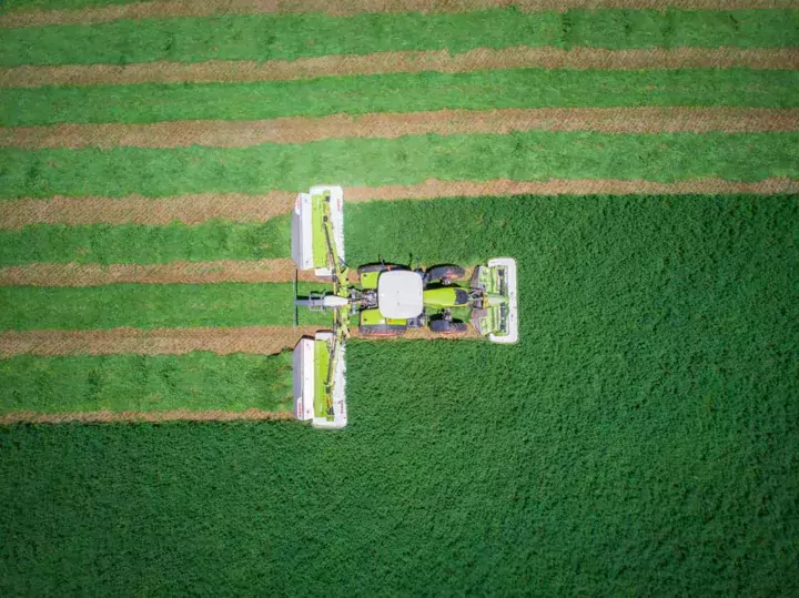 claas-disco-record-fauche-luzerne-1
