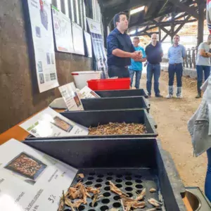 Tamisage de la ration par Philéo Lesaffre en élevage.