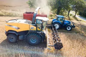 Un chantier d’ensilage peu commun dans notre région.