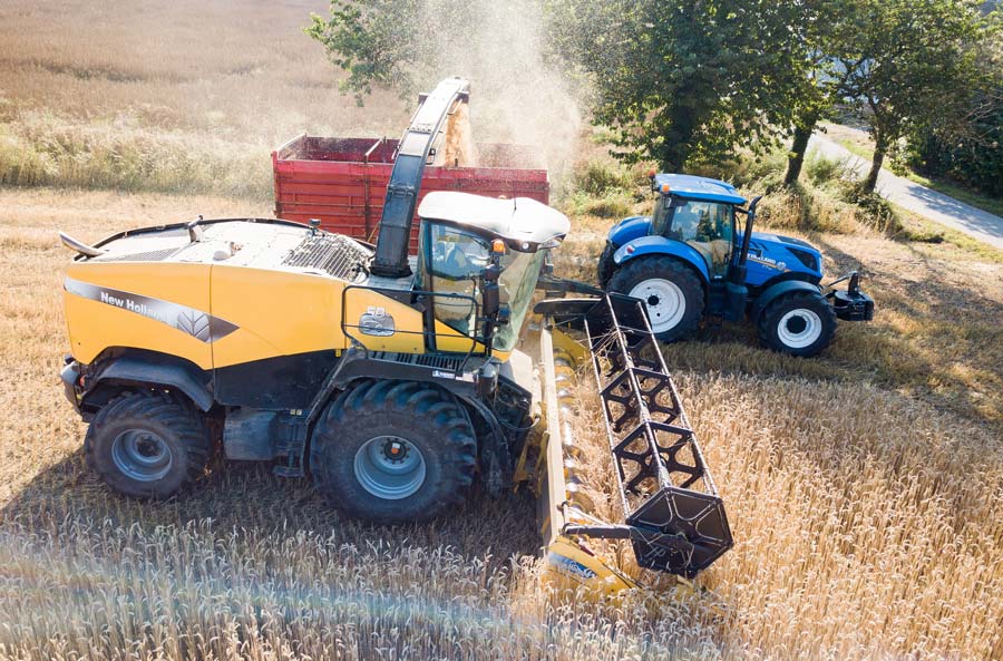 Un chantier d’ensilage peu commun dans notre région. - Illustration Du blé ensilé pour les laitières