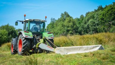 Photo of Bien se chausser pour faucher en zones humides