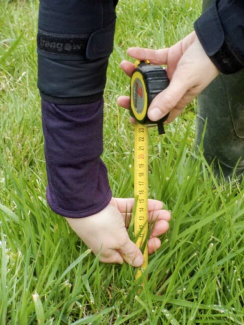 Attendre 18-20 cm de pousse d'herbe pour entrer dans les paddocks afin d’éviter de pénaliser le rendement des prairies. 