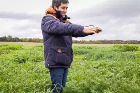 My Chlorofiltre est capable d’estimer la biomasse aérienne et racinaire d’un couvert végétal.