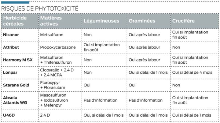 phytotoxicite