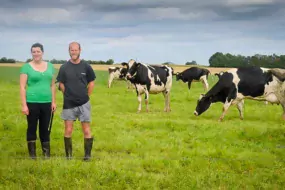 Les 50 laitières de Charlotte et Christophe Mellier sont en pâturage plat unique sur 17,5 ha depuis le 12 juin.