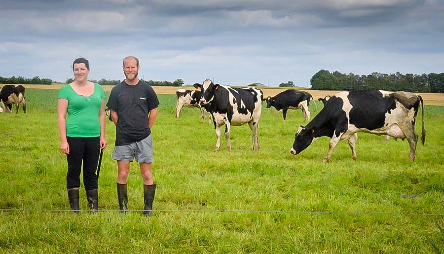 Les 50 laitières de Charlotte et Christophe Mellier sont en pâturage plat unique sur 17,5 ha depuis le 12 juin. - Illustration L’herbe de juillet assurée grâce à la pluie