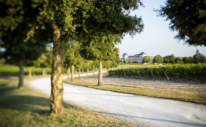 Débutés en 2013, les grands travaux arrivent à leur terme. À compter de janvier prochain, le domaine ouvrira ses portes aux amateurs de vin.