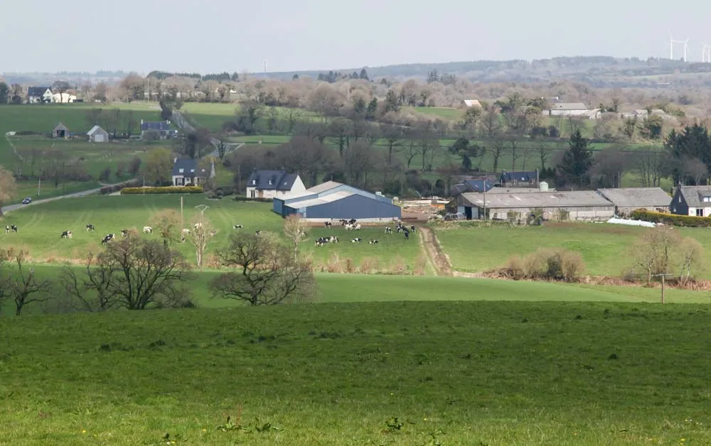 Les entreprises situées dans une zone qui n’est plus classée ZRR depuis le 1er juillet 2017 bénéficient encore provisoirement de ce dispositif d’exonérations, prolongé jusqu’au 30 juin 2020. - Illustration Les avantages d’être dans une zone de revitalisation rurale