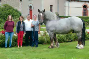 Lénaick Déniel (Société départementale d’agriculture), Patrice Ecot, Pascal Cousin et Lucie Marin (inséminatrice échographe à l’IFCE) accompagnent Ust Ar Mor, un étalon de 10 ans à la robe aubère.