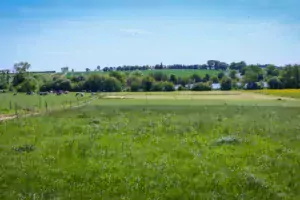 Des parcelles jusqu’alors destinées aux céréales de l’autre côté de la route ont été implantées en prairies.