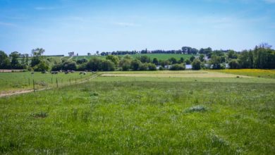 Photo of L’accessibilité à l’herbe, une notion propre à chaque éleveur