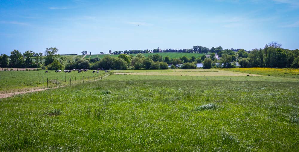 Des parcelles jusqu’alors destinées aux céréales de l’autre côté de la route ont été implantées en prairies. - Illustration L’accessibilité à l’herbe, une notion propre à chaque éleveur