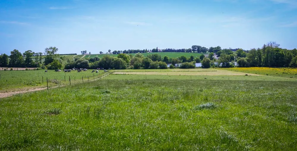 Des parcelles jusqu’alors destinées aux céréales de l’autre côté de la route ont été implantées en prairies. - Illustration L’accessibilité à l&rsquo;herbe, une notion propre à chaque éleveur