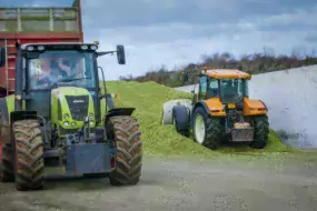 ensilage-mais