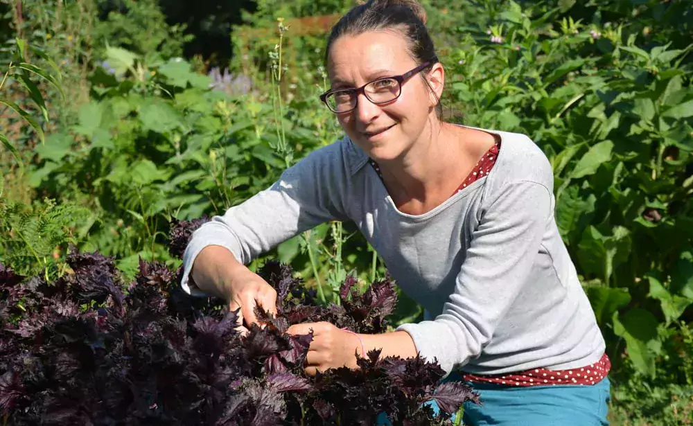 Hélène Deniaud-Powell dans son jardin. - Illustration Une explosion de saveurs florales