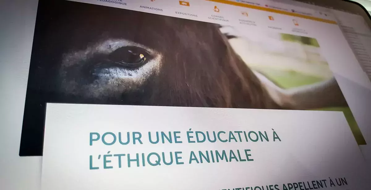 Site web de L214 dédié à l'éducation. - Illustration Elevage : la CR veut contenir L214 hors des établissements scolaires