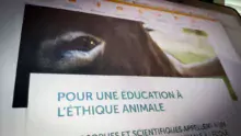 Site web de L214 dédié à l'éducation.