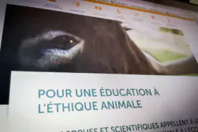 Site web de L214 dédié à l'éducation.