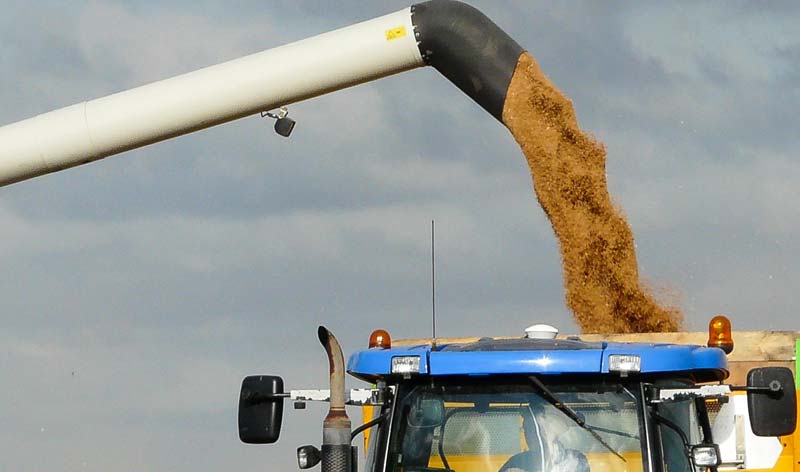 moisson-remorque-cereales - Illustration Le ministère de l’Agriculture annonce la suppression de cinq taxes agricoles