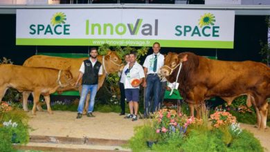 Photo of Limousine au Space 2018 : Hôtesse reçoit le prix de Meilleur animal