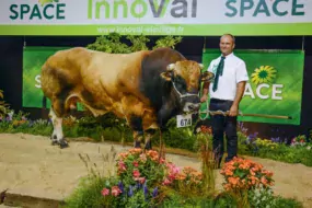 Impala, le champion mâle du concours.