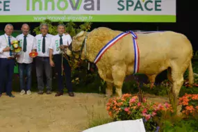 Intraitable appartient en copropriété à l’EARL Le Menec Thierry et au Gaec du Bois Glé - Gapaillard (22).