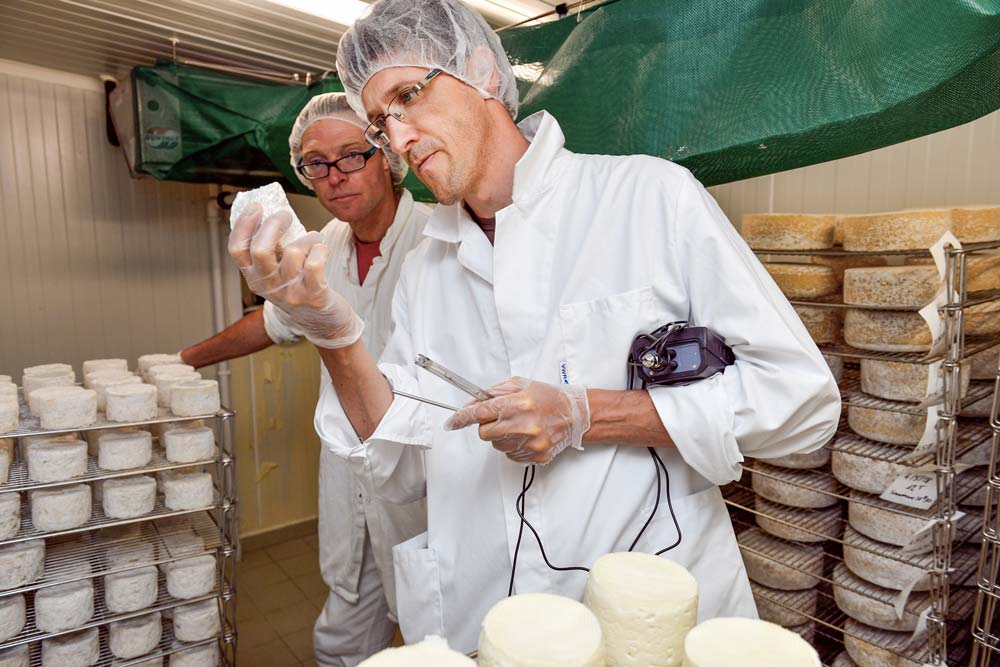 À la Bergerie des Abers, à Plouvien, Jean-Charles Ray fait le point avec Ronan Jestin sur l’affinage de ses fromages. Que ce soit en élevage caprin, ovin ou bovin, le conseiller en transformation laitière du GDS Bretagne est un précieux allié des producteurs fermiers chez qui il réalise environ 220 visites par an. - Illustration Jean-Charles prend la peine d’en faire tout un fromage