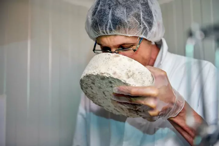 Diplômé de l’école nationale de l’industrie laitière, il continue de se former auprès des instituts de recherche (Idele, Enil, Inra) et d’échanger avec les conseillers en transformation laitière d’autres régions.