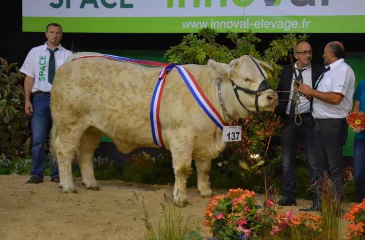 Laforêt de l’élevage d’Alain Pété en Vendée, Championne femelle.