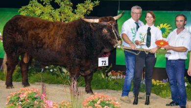 Photo of Salers au Space 2018 : Lapidus en tête