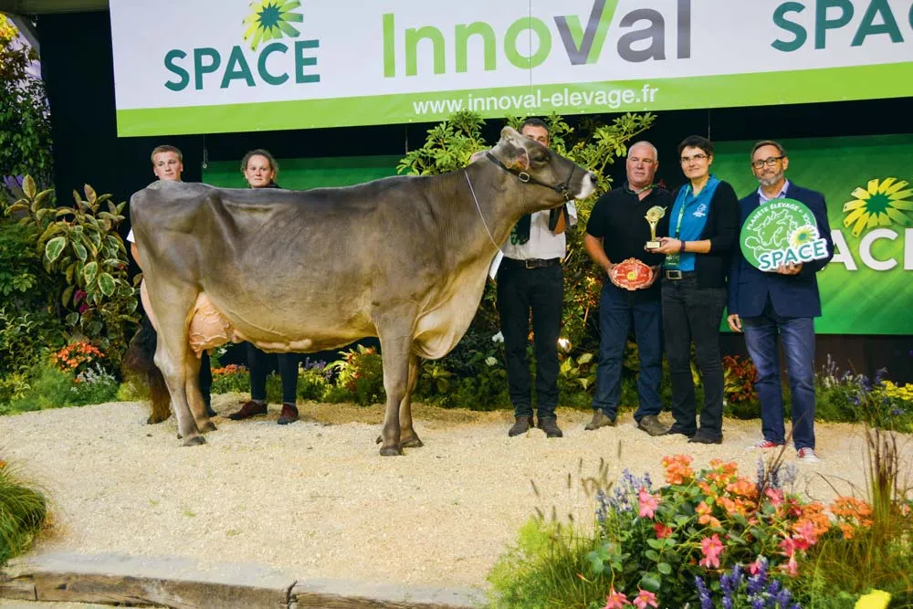 Le Gaec du Bois Brillant rafle les prix de Championne adulte, Meilleure mamelle adulte et Grande championne, avec Lbb Génial. - Illustration Brune au Space 2018 : Lbb Genial solide sur ses membres