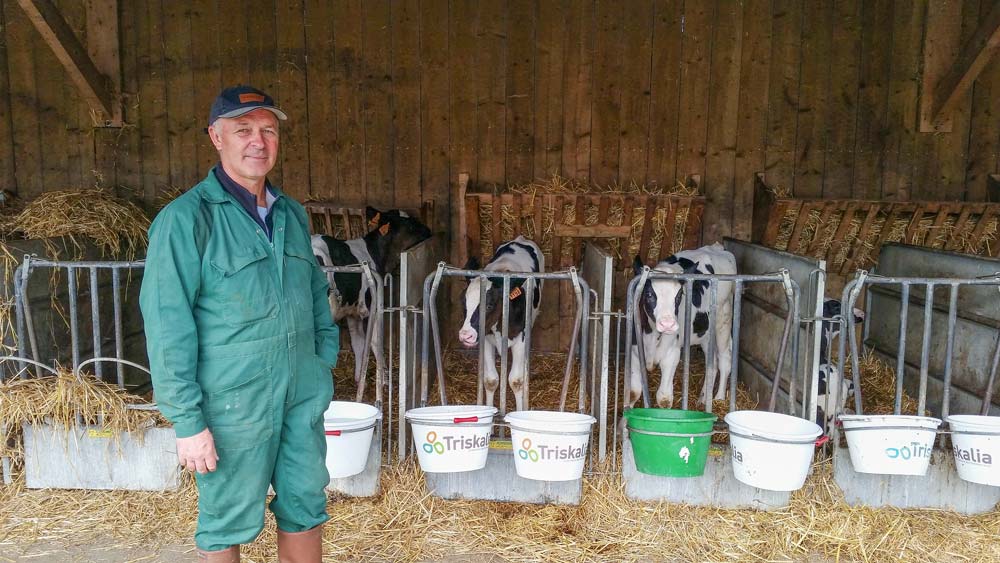 Paul Guernion est satisfait du suivi et des résultats de l’essai Sencix SD, à base d’huiles essentielles. - Illustration Des huiles essentielles pour sécuriser les génisses