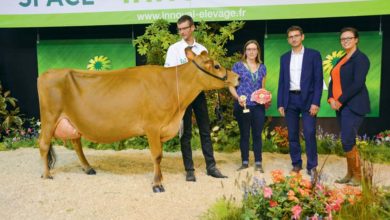 Photo of Jersiaise au Space 2018 : La petite est aussi la reine des taux