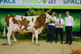 Maética une vache en 1re lactation, appartenant au Gaec Le Febvrier aux Forges (56), a remporté sa section ainsi que le prix de Meilleure mamelle jeune du concours