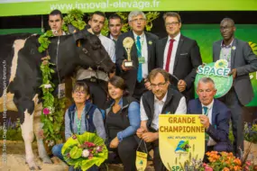 prim-holstein-championne-space-2018