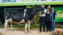 Du bon vent Janna Cama, au Gaec du Bon Vent à Locqueltas (56), sacrée Championne jeune puis Grande championne.