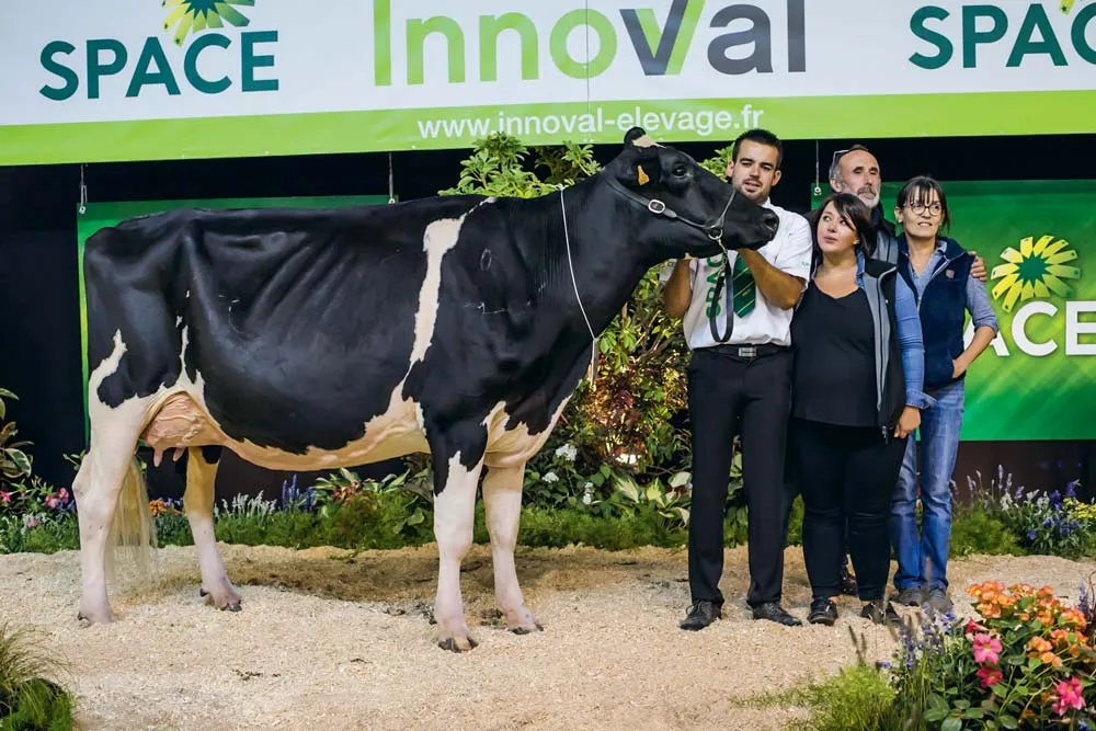 Du bon vent Janna Cama, au Gaec du Bon Vent à Locqueltas (56), sacrée Championne jeune puis Grande championne. - Illustration Prim&rsquo;Holstein au Space 2018 : Du bon vent Janna Cama prend le large