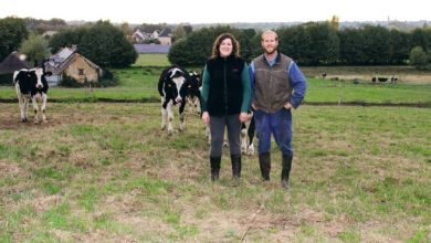 Photo of Ne garder que les vaches les plus productives