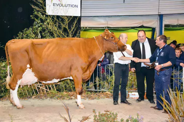 Ardèche (Origin sur Lamanu), au Gaec de la Noé, à Pleugriffet (56) a été sacrée meilleure laitière du concours. Née en 2005, elle a produit plus de 100 000 litres de lait. Sa 6e lactation affiche 10 155 kg à 48 et 35,1 (TA).