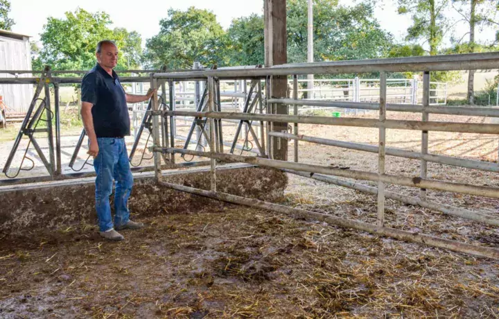 « Dans cette case, nous avons la possibilité de bloquer les vaches au cornadis, avec deux barrières sur les côtés qui permettent les interventions », montre Philippe Lehuger.