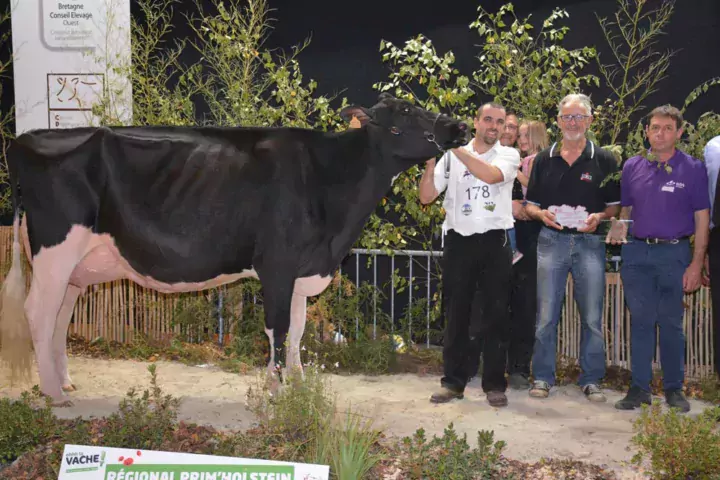 Du vieux chêne Jummer (Réserve championnat adulte), à l'EARL du Vieux Chêne de Réguiny, a produit 10 277 kg à 41,4 et 32 (TA) en 2e lactation. C'est une fille de Chelios sur Seagual.