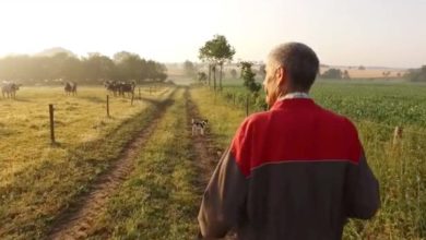 Photo of “Éleveur, c’est mon choix” : Un documentaire qui fait du bien aux éleveurs