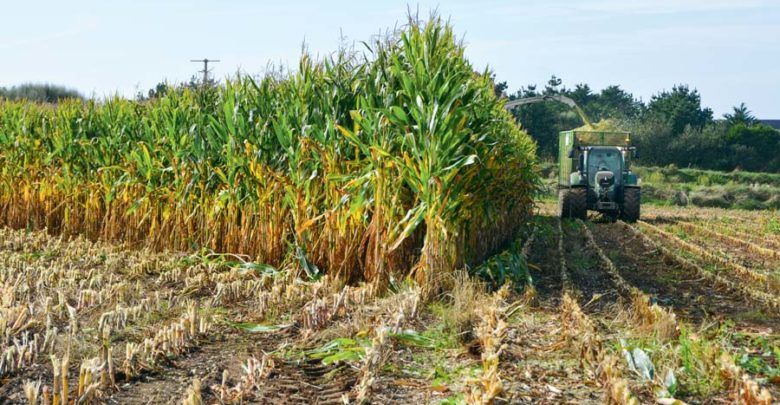 Payer son fermage : où, quand, comment ? | Journal Paysan Breton