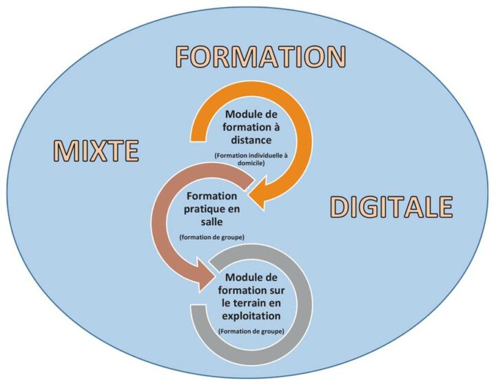 Exemple de formation mixte digitale