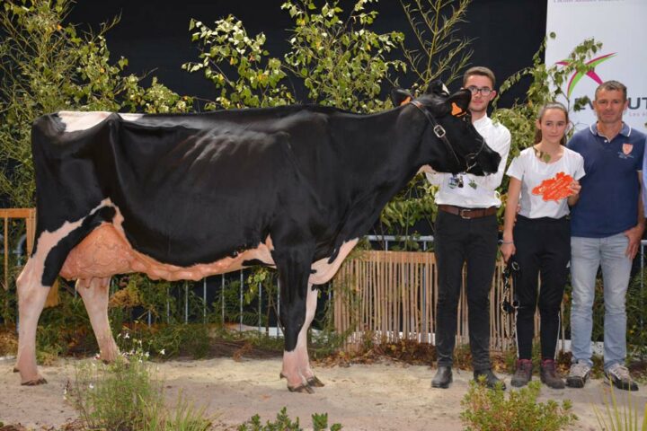 Ginna (meilleure laitière) au Gaec Dubois-Étienne, à Loqueltas, a produit 11 890 kg à 39 et 32,8 (TA) en 4e lactation. C'est une fille de Jerrick sur Jocko.