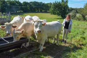 Gwen Le Roux avec les génisses. L’âge au premier vêlage est de 30 mois : un optimum aux yeux de l’éleveuse.