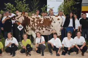 Inouie, Grande championne, a été fêtée par l'ensemble des éleveurs normands à la fin du concours.