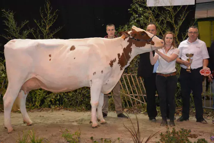 Irise (Parma sur Kilian), grande championne, a produit, en 2e lactation, 8040 litres à 37 de TB et 33,8 de TA.