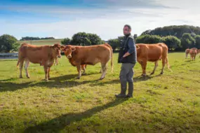 « À l’automne, j’intègre quelques vaches avec leurs veaux dans le lot des génisses pour qu’elles apprennent de leurs aînées… », explique Mickaël Dossal.