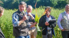 « La majorité des maïs ont faim avant d’avoir soif car on travaille avec de la matière organique : fumier, lisier. »